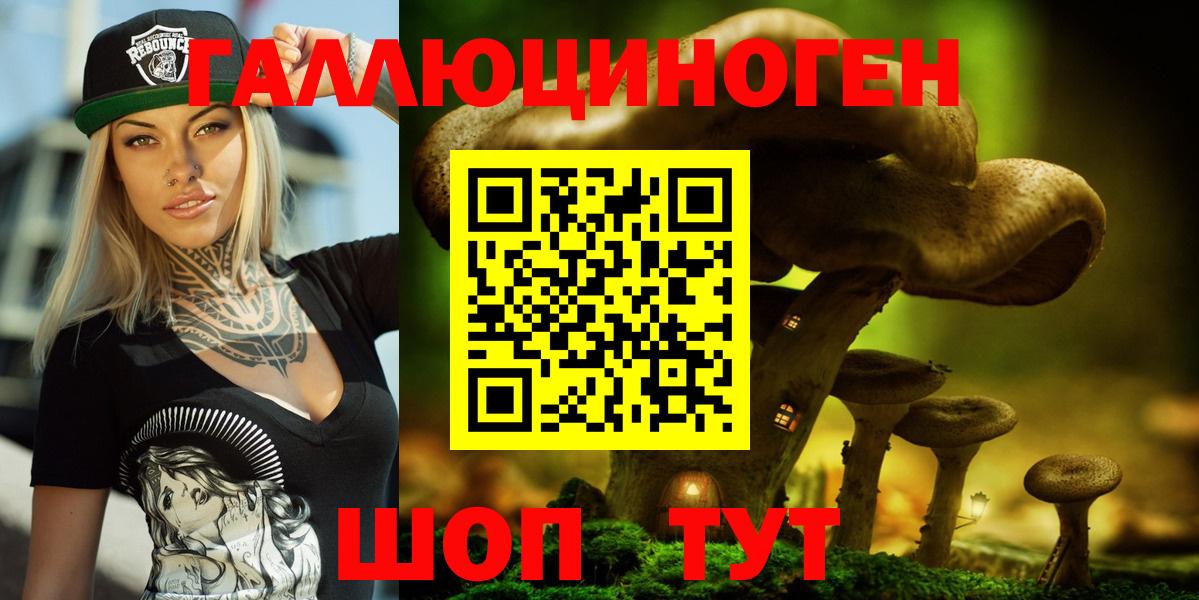 Псилоцибиновые грибы MAGIC MUSHROOMS Балтийск